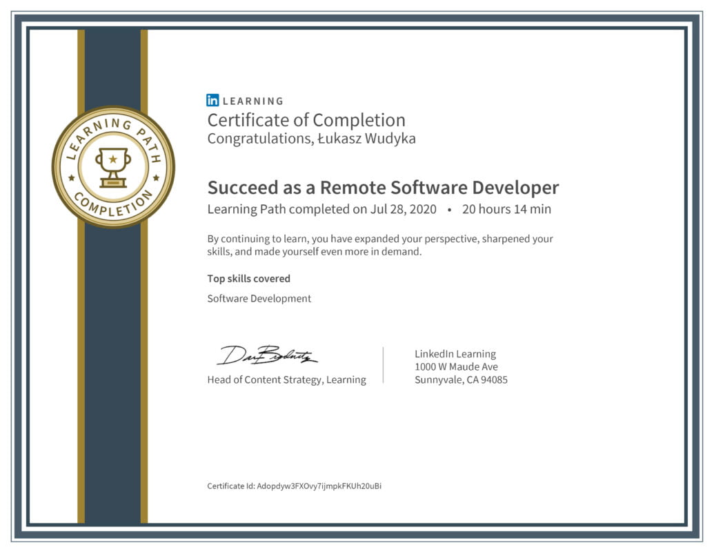 Łukasz Wudyka opinie o platformach szkoleniowych - Łukasz Wudyka certyfikat - Successed as a Remote Sofware Developer