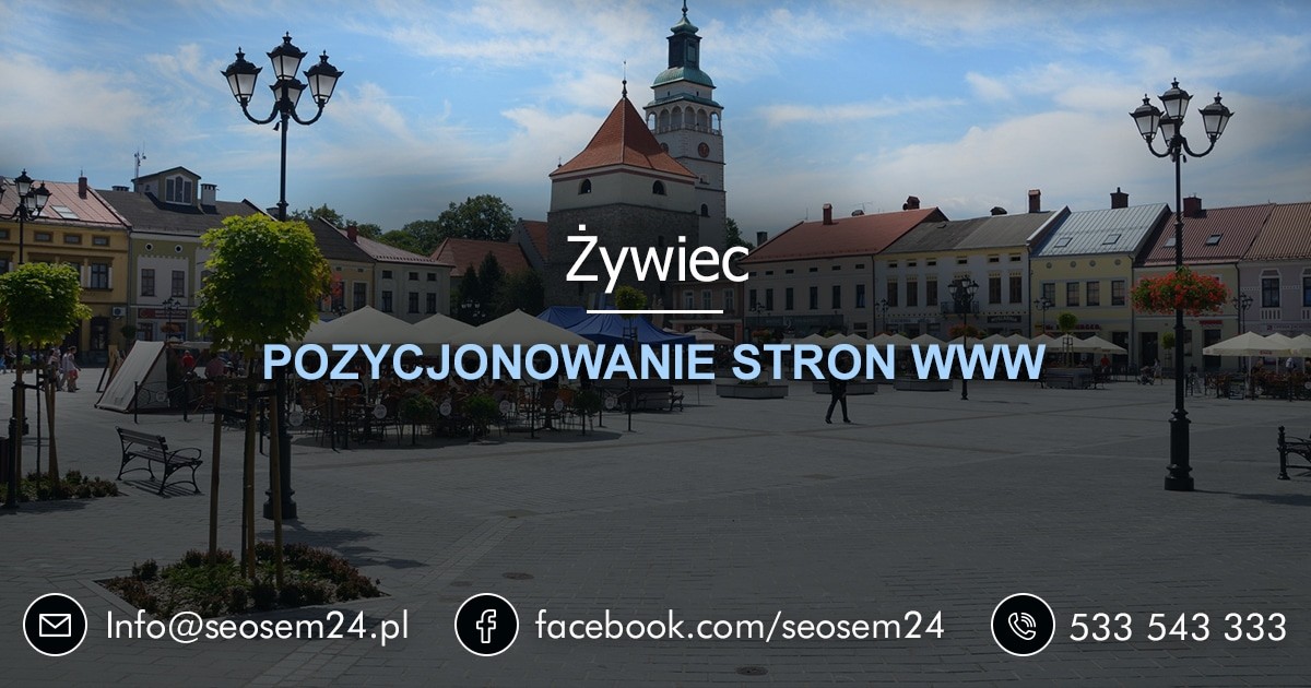 Pozycjonowanie stron www Żywiec - pozycjonowanie Żywiec