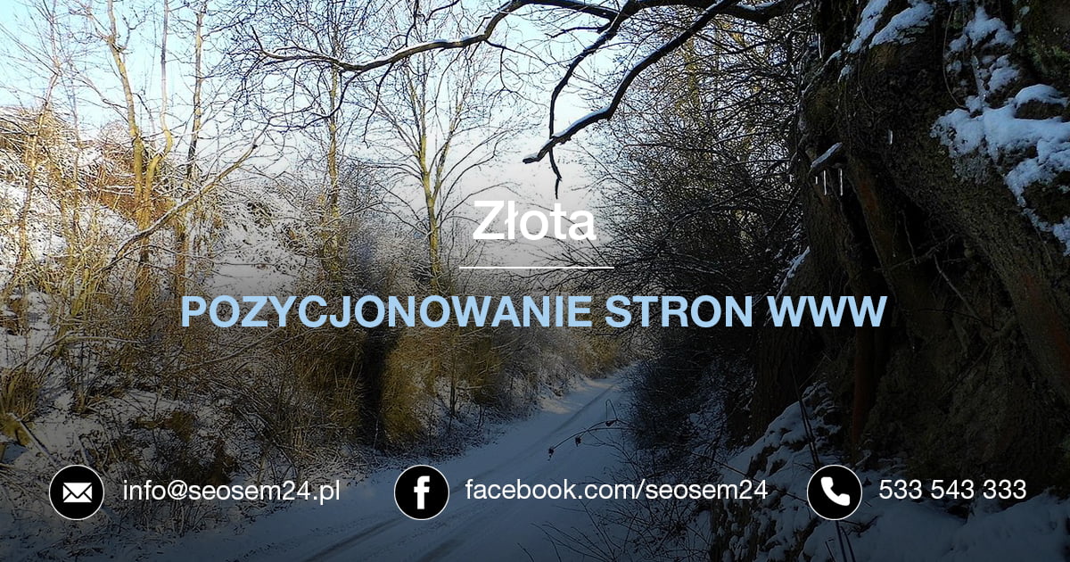 Pozycjonowanie stron www Złota