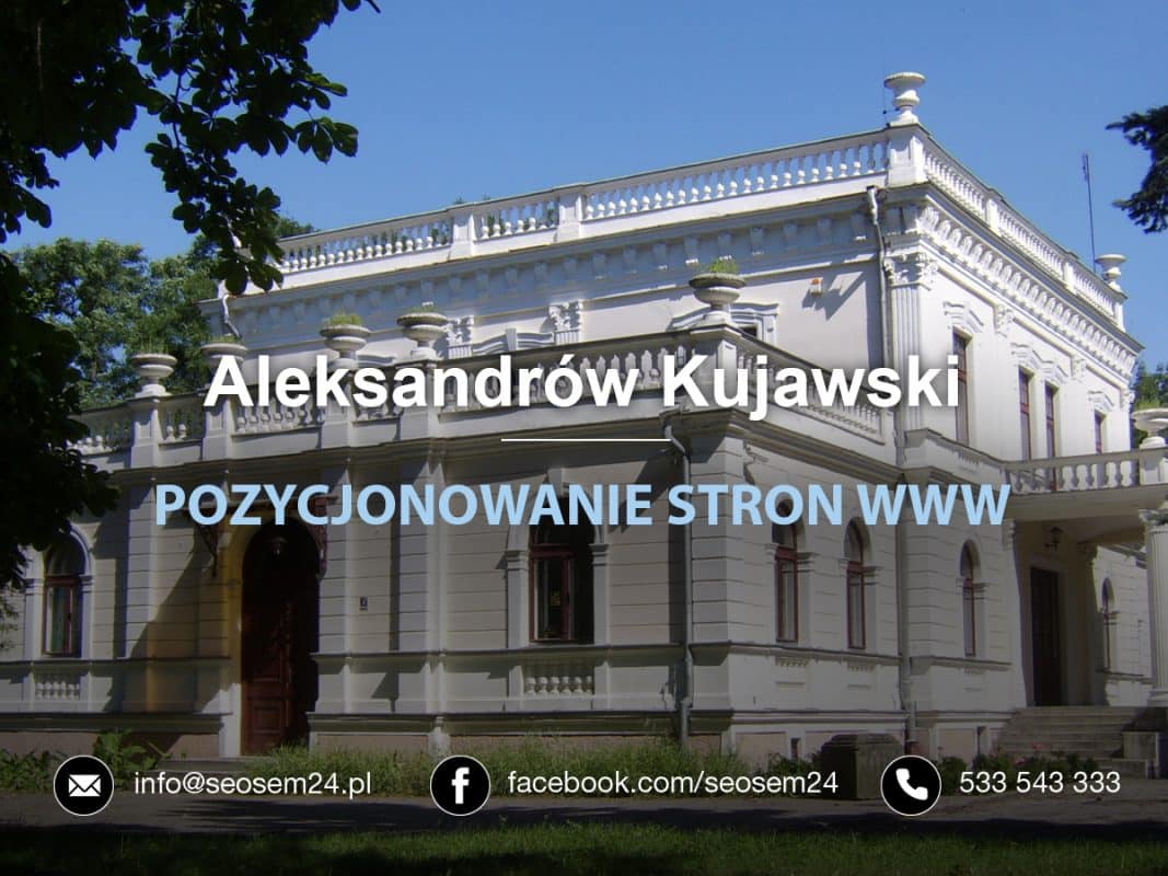 Pozycjonowanie Aleksandrów Kujawski