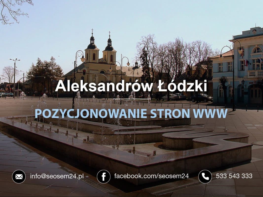 Pozycjonowanie Aleksandrów Łódzki