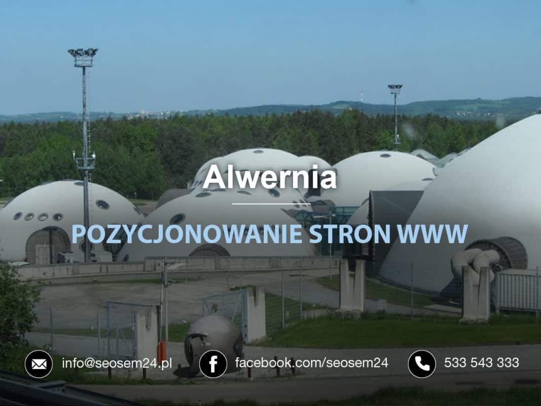 Pozycjonowanie Alwernia