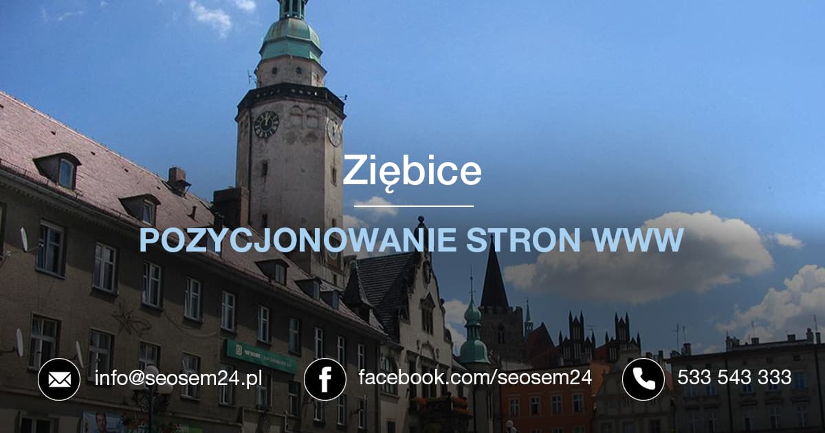 Pozycjonowanie Ziębice