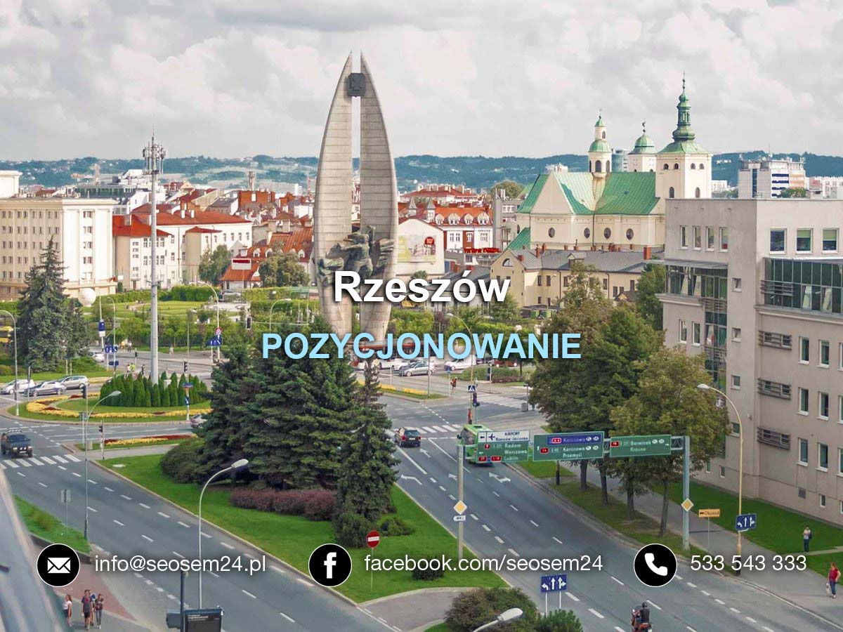 Pozycjonowanie Rzeszów