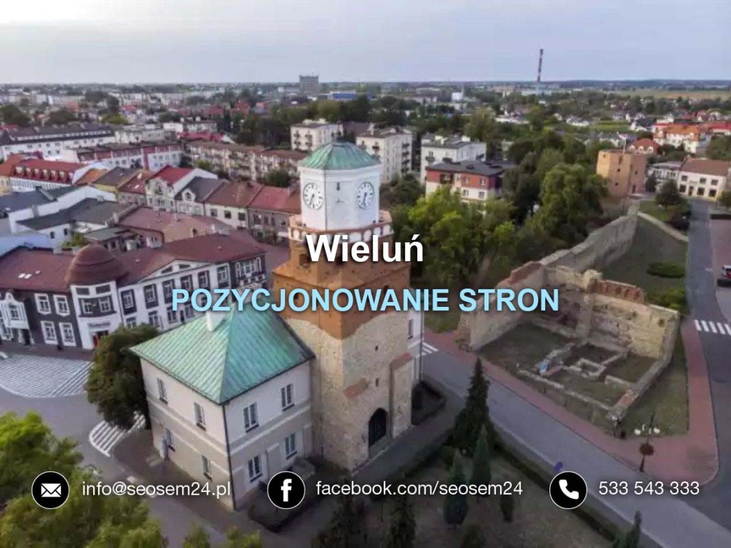 POZYCJONOWANIE STRON Wieluń