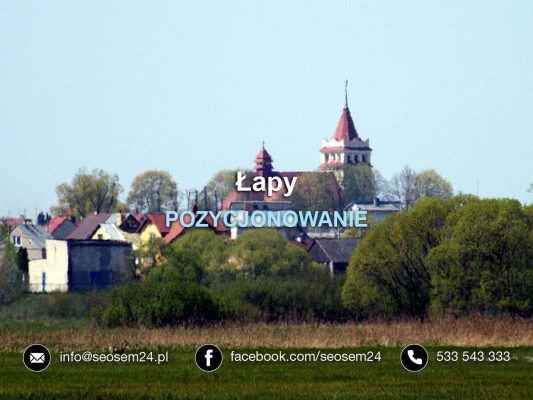 Pozycjonowanie Łapy