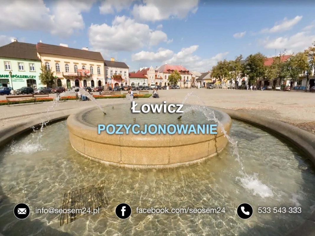 Pozycjonowanie Łowicz