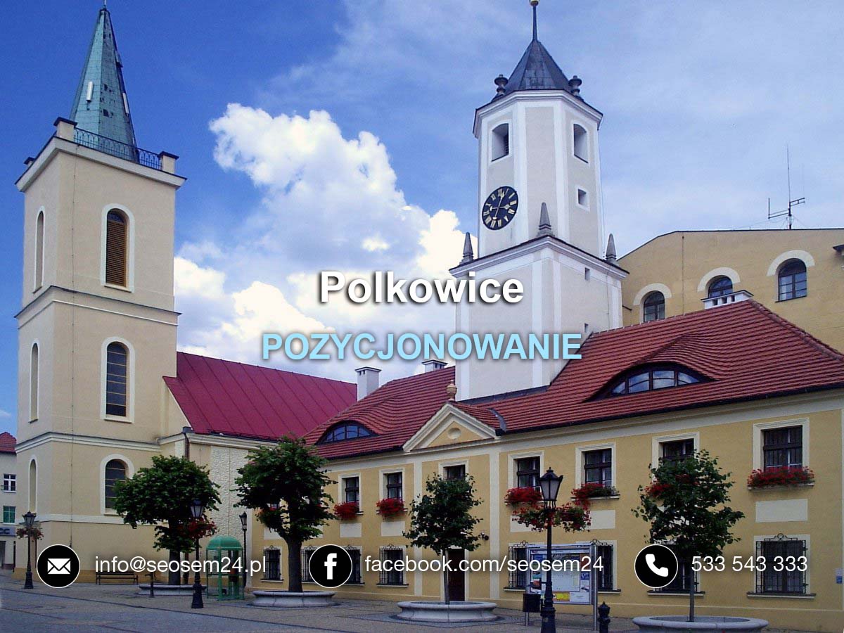 Pozycjonowanie Polkowice