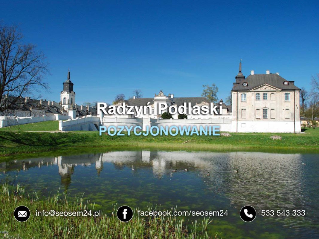 Pozycjonowanie stron www Radzyń Podlaski - Pozycjonowanie Radzyń Podlaski