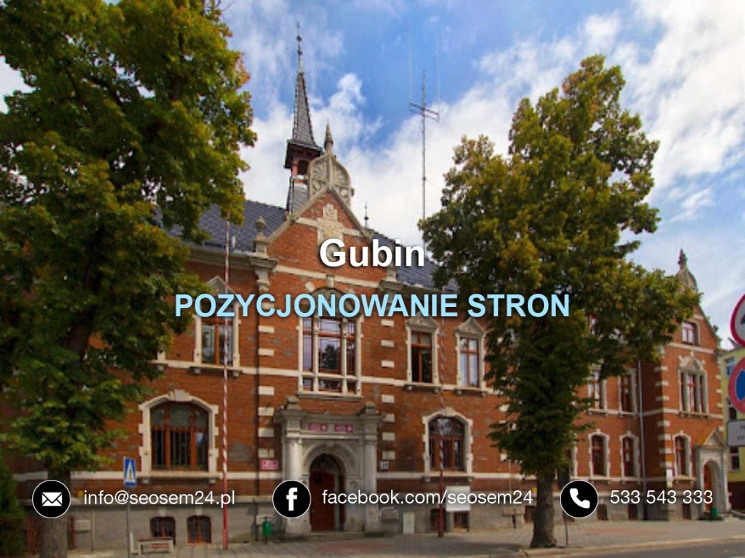 POZYCJONOWANIE STRON Gubin