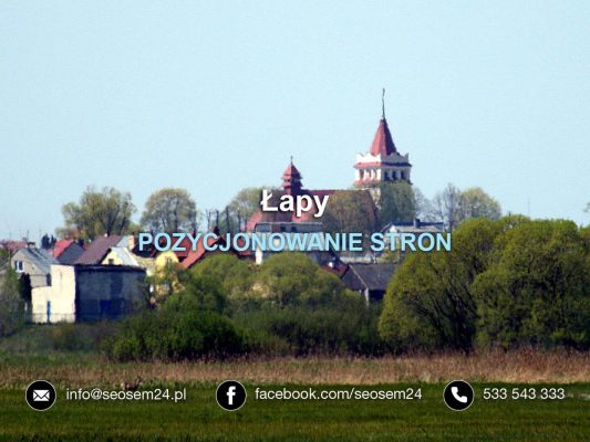 Pozycjonowanie Łapy