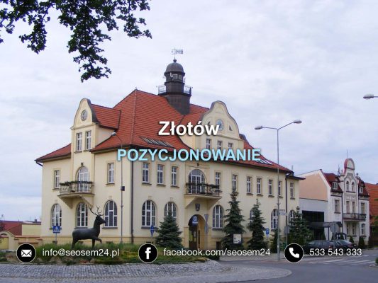 Pozycjonowanie Złotów