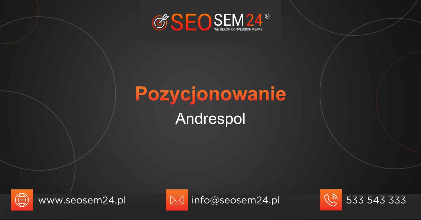 Pozycjonowanie Andrespol