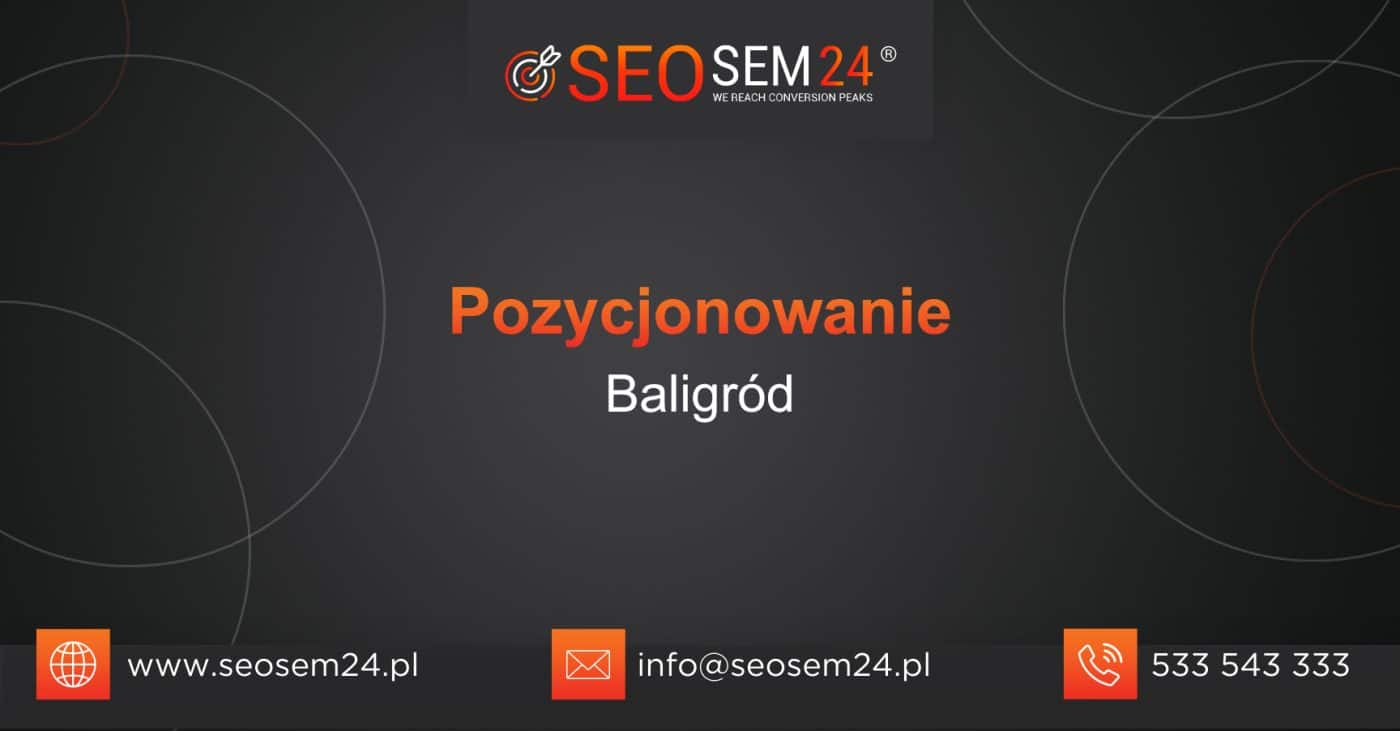 Pozycjonowanie Baligród