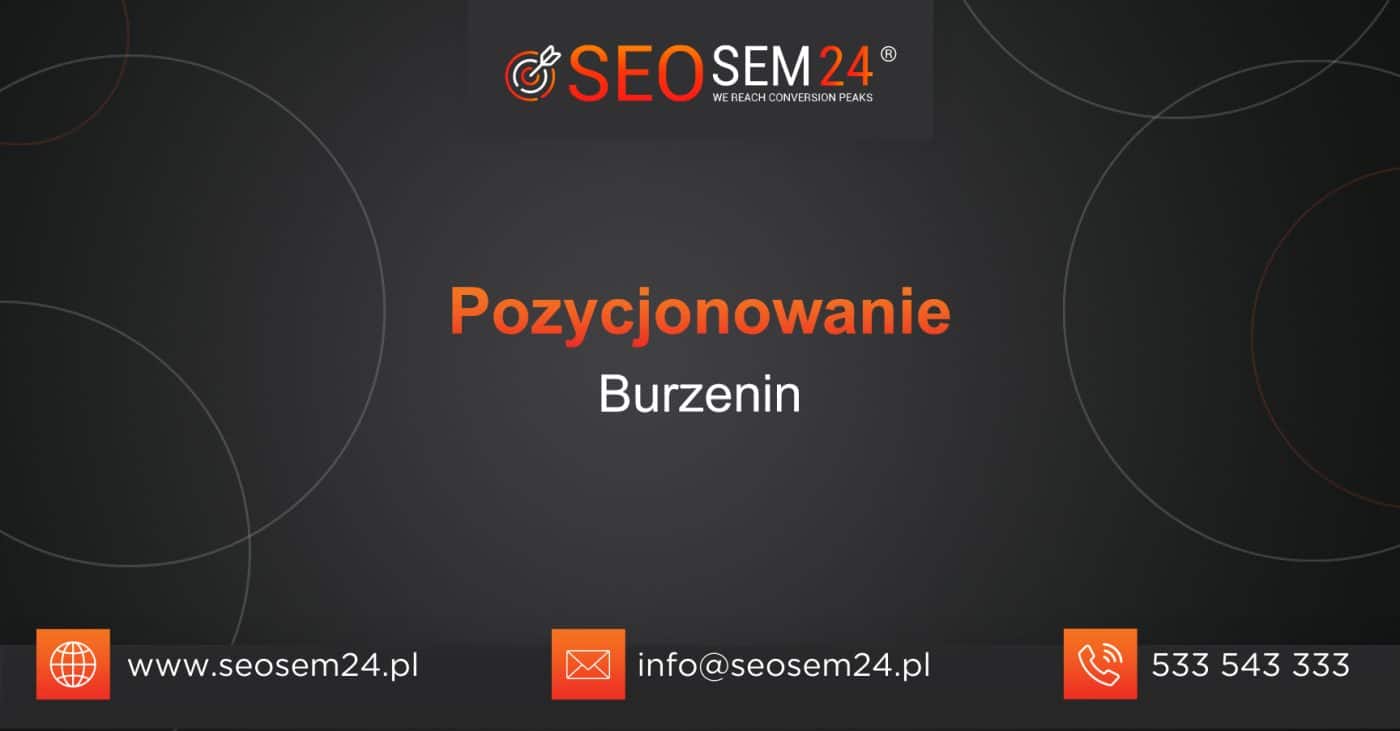 Pozycjonowanie Burzenin