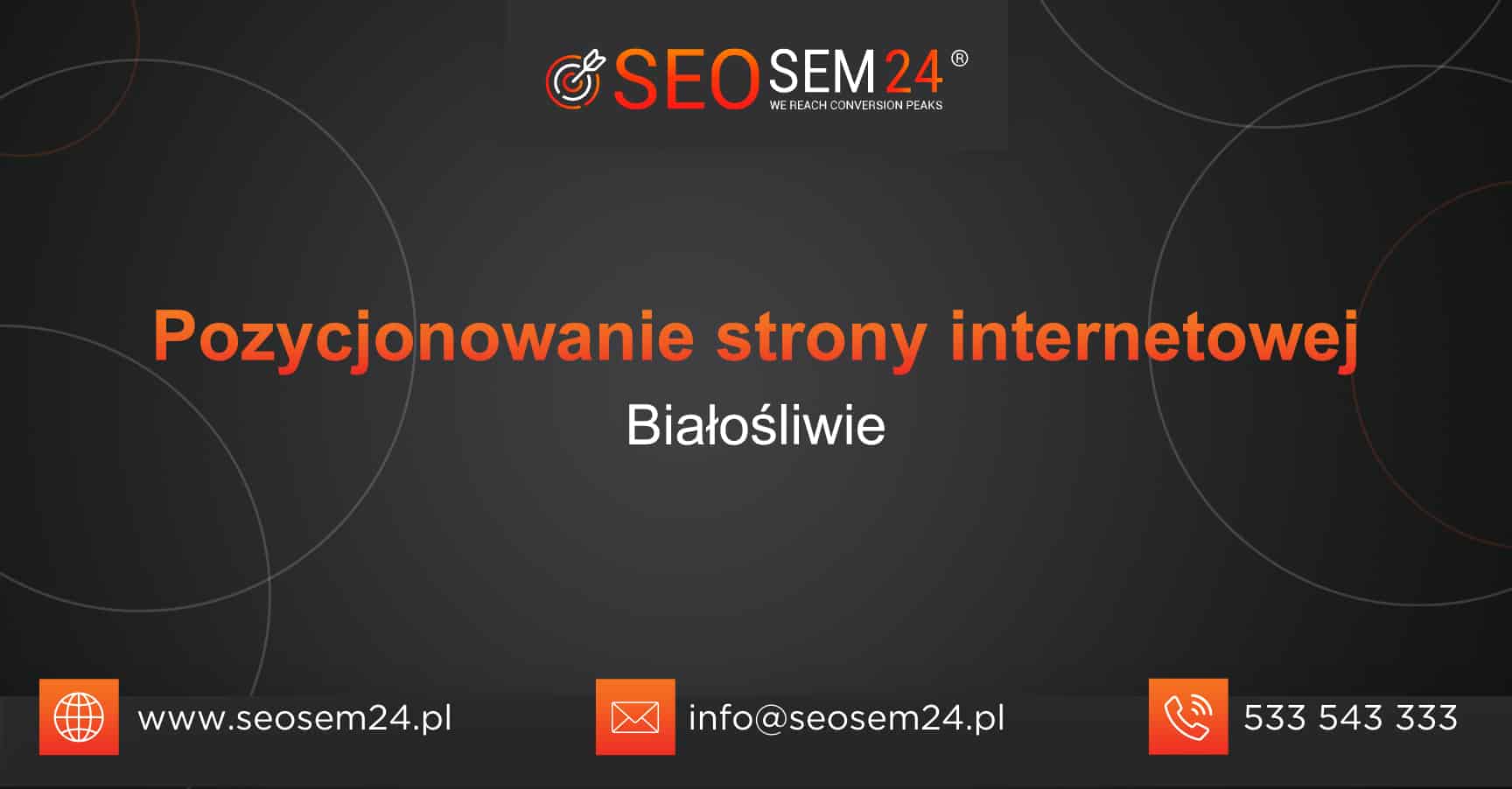 Pozycjonowanie-strony-internetowej-Bialosliwie