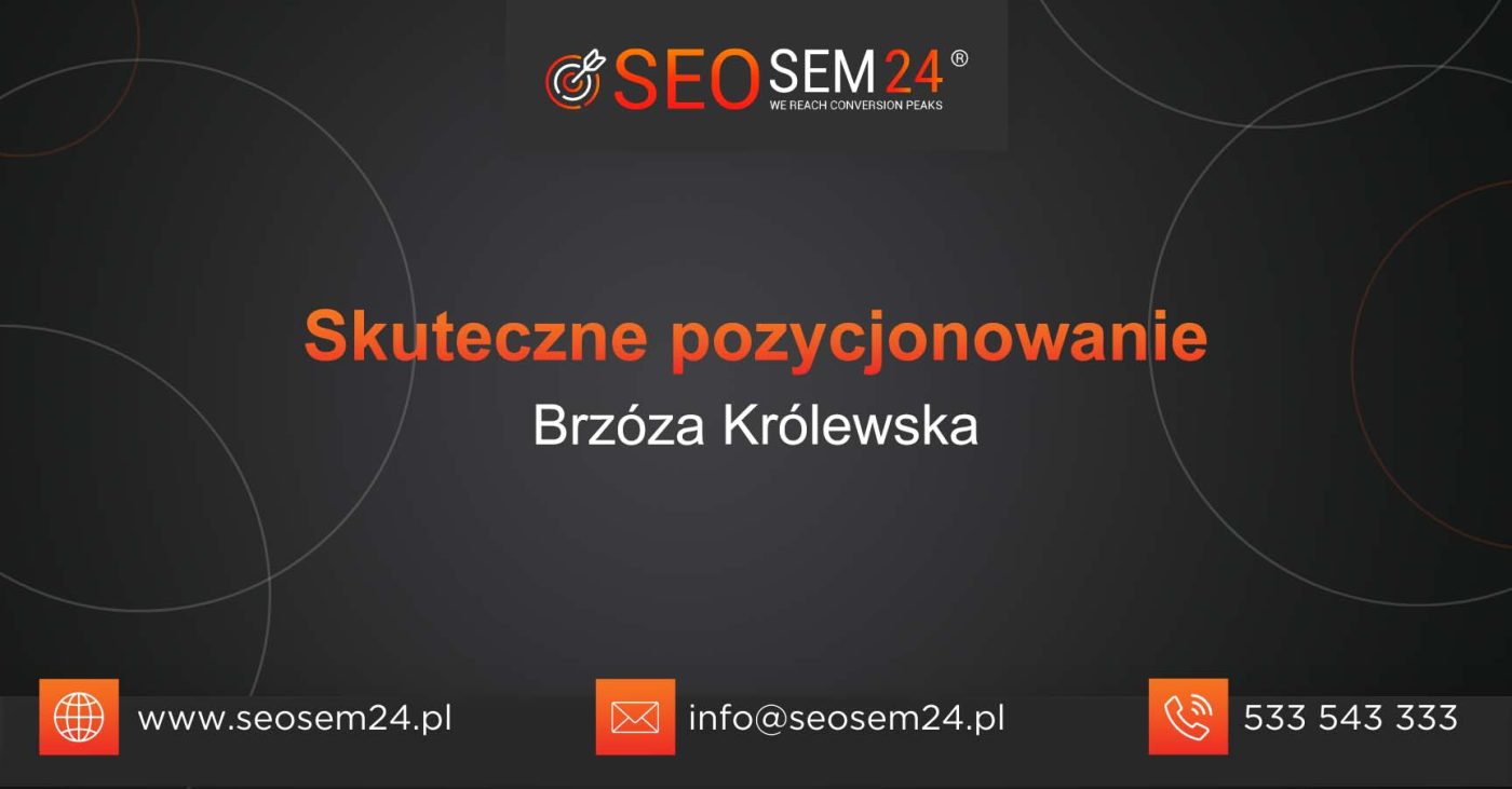 Skuteczne pozycjonowanie Brzóza Królewska