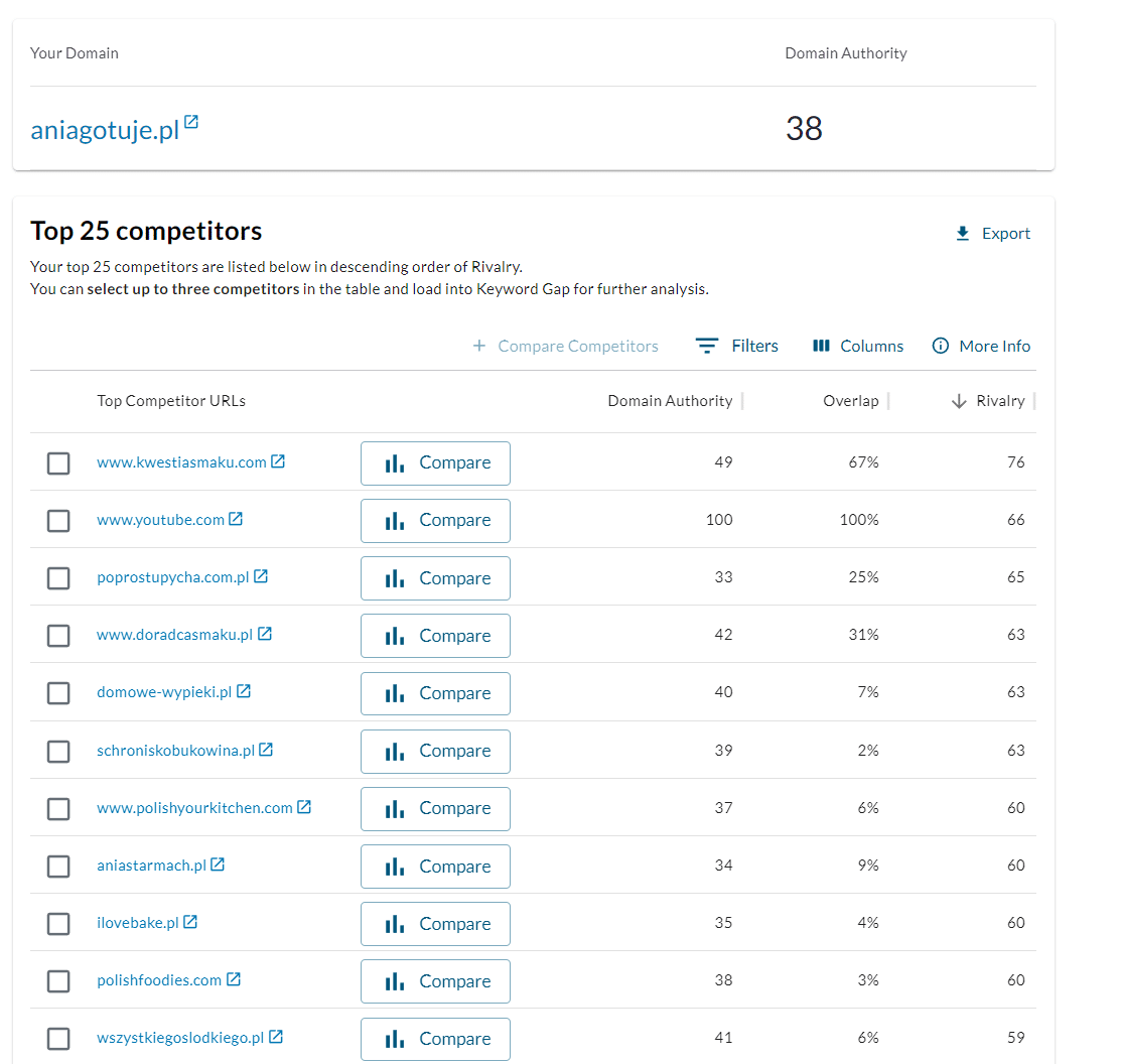 Strona internetowa w Zielinie - lista konkurencyjnych domen